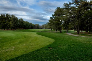 Golf sahası ve çam ağaçlarının manzarası.