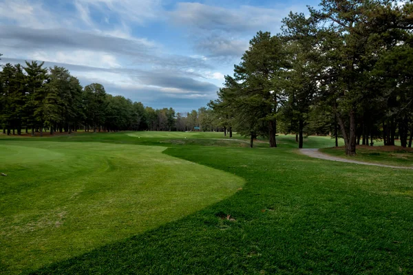 View Golf Course Pine Trees — стоковое фото