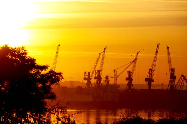 Silhouettes Port Cranes Seashore Backdrop Magnificent Sunset Sky Ukraine Odessa — Foto de Stock