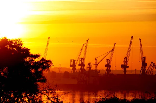 Limandaki vinçlerin siluetleri deniz kenarında ve muhteşem bir günbatımı gökyüzünün arka planında. Ukrayna. Odessa bölgesi. Çernomorsk 'ta. Karadeniz.