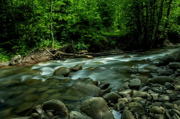 Rio Montanha Com Pedras Banco Nas Moitas Floresta Verde Longa — Fotografia de Stock
