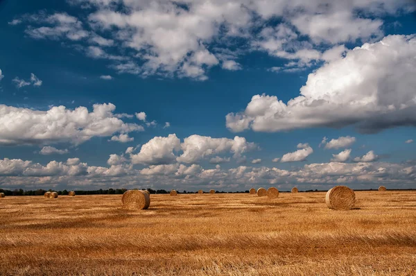 Stacks Hay Harvested Field Sunny Summer Day Agricultural Field — Stock fotografie