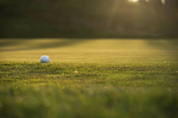 Golf Ball Green Grass Golf Course Sunlight Close — Foto de Stock