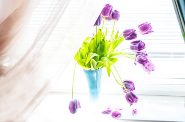 Delicate bouquet of crumbling tulips on the window. The artistic photo is very light with selective focus.