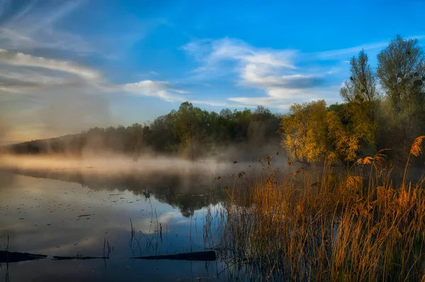 Floden Tidigt Morgonen Dimman Tidigt Våren Lugn Vacker Morgon Landskap — Stockfoto