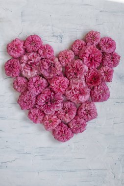 Pembe gül yapraklı kalp. Klasik arka plan. Yukarıdan görüntüle.