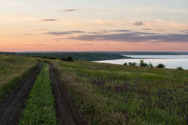Dirt road among fields and steppes on the bank of the estuary at sunset. Blooming sage flowers.
