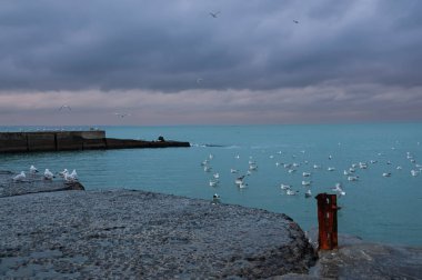 Denizdeki eski beton iskele ve martılar. Dramatik deniz manzarası. Odessa 'da. Ukrayna.