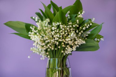 Bahar çiçekleri vadideki zambaklar leylak arka planda..