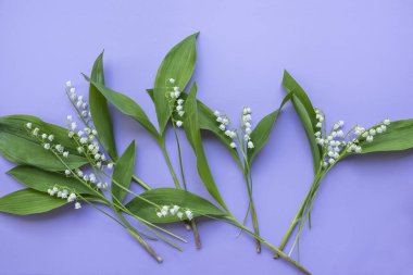 Bahar çiçekli zambaklar vadide leylak bir arka planda.