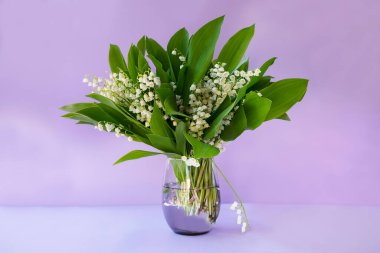 Bahar çiçekleri vadideki zambaklar leylak arka planda..