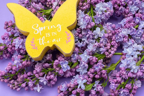 Frühling Sommer Hintergrund Fliederblüten Und Schmetterlinge Auf Fliederfarbenem Hintergrund Farbe — Stockfoto