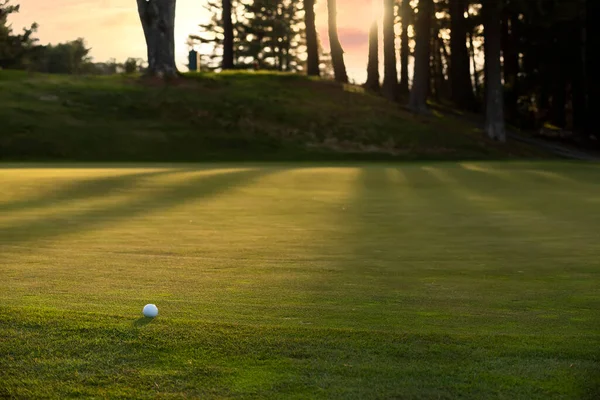 Golfboll Grönt Gräs Golfbana Solljus — Stockfoto