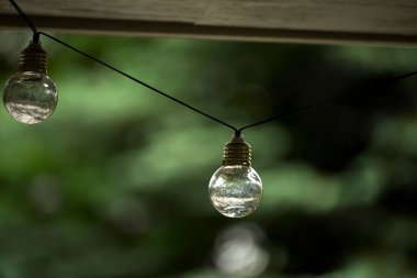 Yeşil bir bahçenin arka planında dekoratif ampuller.