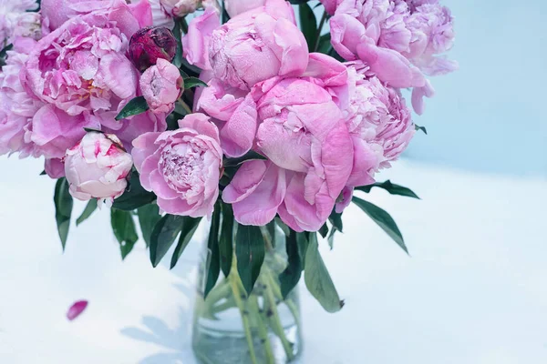 배경에 분홍색 모란의 꽃다발 — 스톡 사진