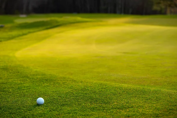 Golfboll Grönt Gräs Golfbana Solljus — Stockfoto