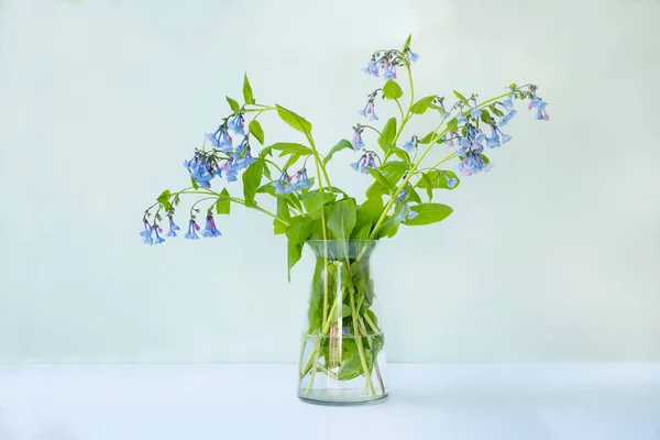 Buquê Flor Primavera Vaso Vidro Fundo Leve — Fotografia de Stock