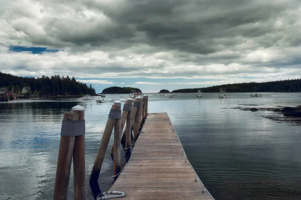 Pier Bay Islands Overgrown Forest Coast Maine Usa — Stok fotoğraf