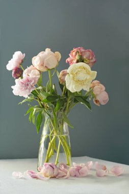 pembe ve beyaz peonies buket