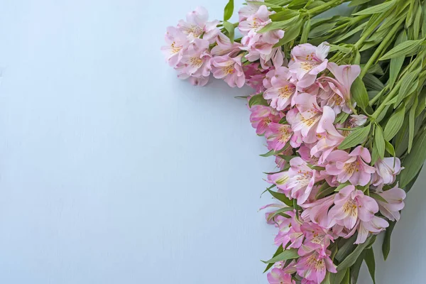 Gentle Flowers Alstroemeriaon Light Background Lots Free Dream Your Inscriptions — Photo