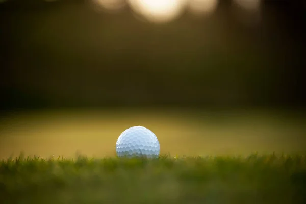 Golf Ball Green Grass Golf Course Sunlight Close — Stock fotografie