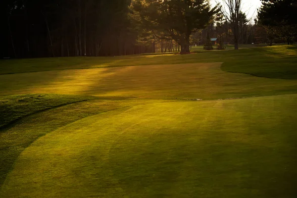 Grönt Gräs Golfbana Solljus Grön Klippt Kuperad Gräsmatta Selektivt Fokus — Stockfoto