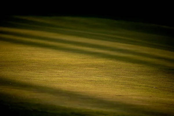 Güneş Işığında Golf Sahasının Yeşil Çimenleri Yeşil Biçilmiş Tepelik Çim — Stok fotoğraf