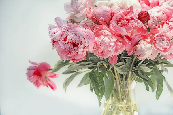 Bouquet Delicate Fresh Flowers Buds Big Pink Peonies — Foto de Stock