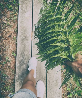 Legs in sneakers in the forest and fern leaves.