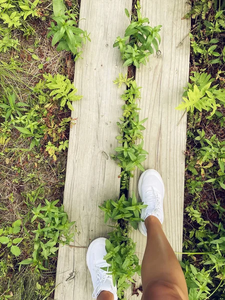 Legs Sneakers Forest Path — Stok fotoğraf
