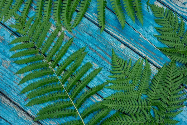 Varen Bladeren Een Ruwe Houten Blauwe Achtergrond Plantaardige Achtergrond — Stockfoto