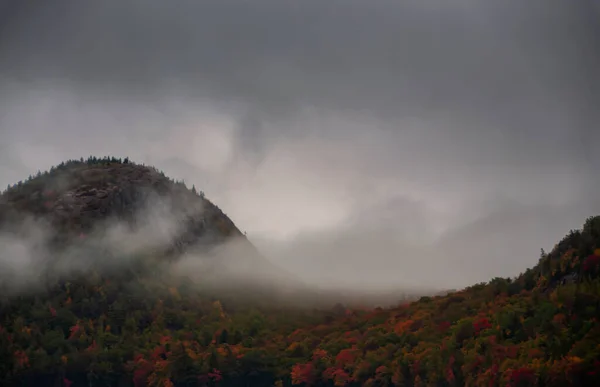 Herbst Den Bergen Berge Überwachsen Mit Bunten Bäumen Nebel Usa — Stockfoto