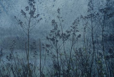 Betonun çiçek sanatsal arkaplanı.