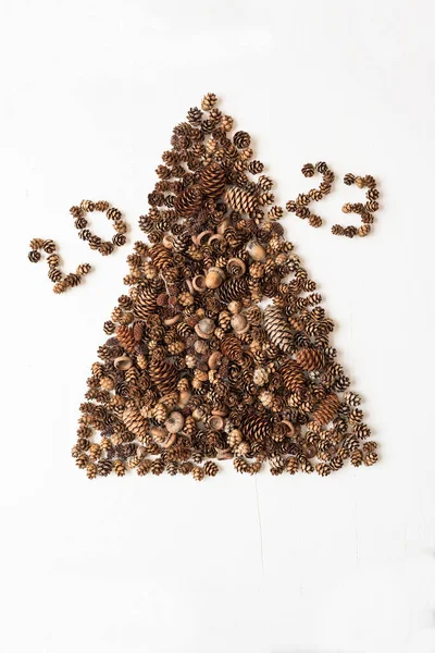 Vánoční Stromek Kuželů Nápis 2023 Světlém Dřevěném Pozadí — Stock fotografie