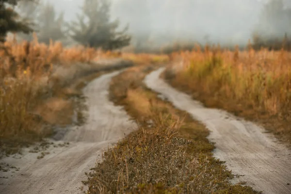 Dirt Road Fields Forest Fog Background Late Autumn Very Soft — Stock Photo, Image