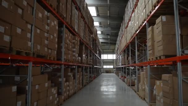 Gangpad tussen rekken vol kisten in magazijn — Stockvideo