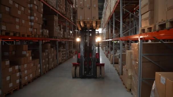 Vysokozdvižný vozík zdvihá paletu krabic na výšku — Stock video