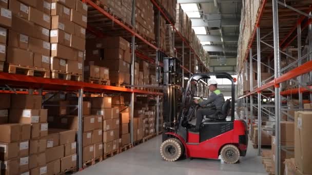 Forklift kamyoneti depoda kutu taşıyor. — Stok video