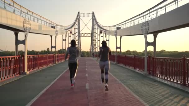 운동복을 암컷의 뒷모습 다리를 가로질러 빠르게 달리고 아침달리기 건강에 스포츠 — 비디오