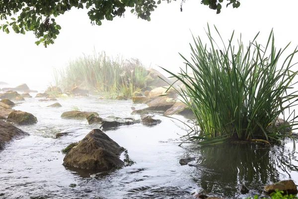 Río Con Rápidos Niebla Bosque Una Mañana Temprana Otoño — Foto de Stock