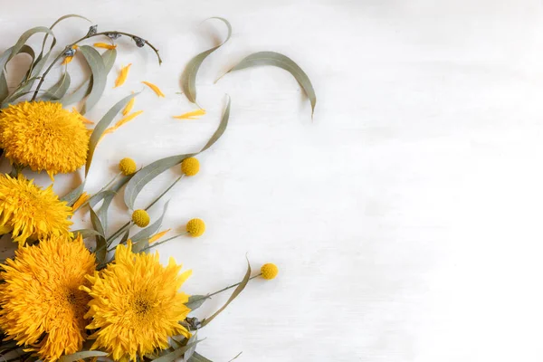 Ayçiçekleri Craspedia Çiçekleriyle Süslü Beyaz Düz Arka Plan Boşluğu Kopyala — Stok fotoğraf