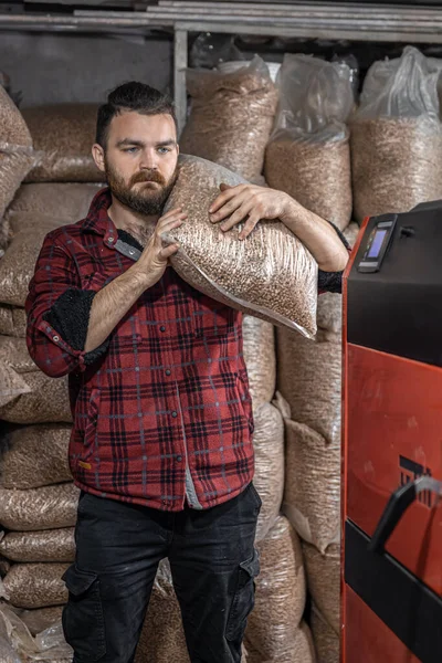 The man loads the pellets in the solid fuel boiler, working with biofuels, economical heating.