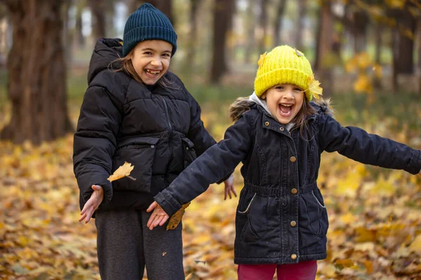 Duas meninas estão brincando nas folhas de outono para um passeio na floresta. — Fotografia de Stock