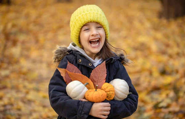 Menina engraçada com abóboras na floresta de outono em um fundo borrado. — Fotografia de Stock