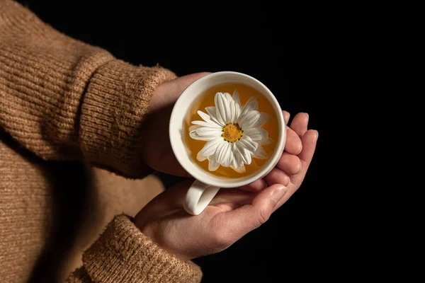 Gros plan de thé à la camomille avec fleur de camomille dans les mains des femmes. — Photo