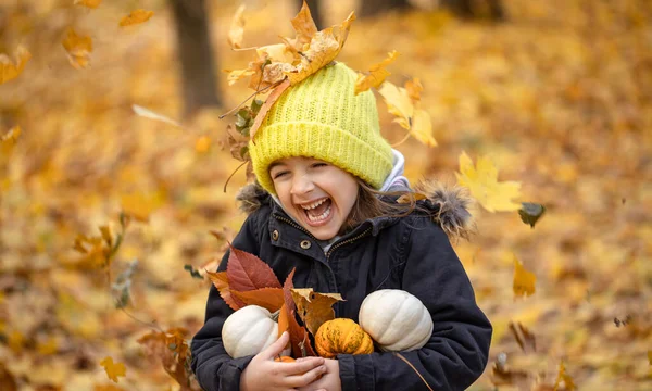 Malá legrační dívka s dýněmi v podzimním lese na rozmazaném pozadí. — Stock fotografie