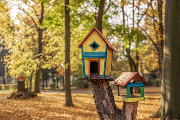 Alimentatori luminosi di uccelli nella foresta autunnale. — Foto Stock