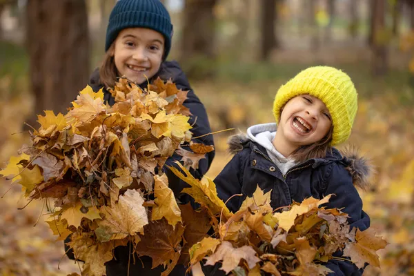 Duas meninas estão brincando nas folhas de outono para um passeio na floresta. — Fotografia de Stock