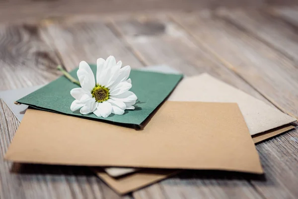 Close-up de flor de camomila em envelopes com letras. — Fotografia de Stock