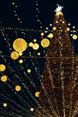 Bir sürü ışığı olan büyük bir Noel ağacı..